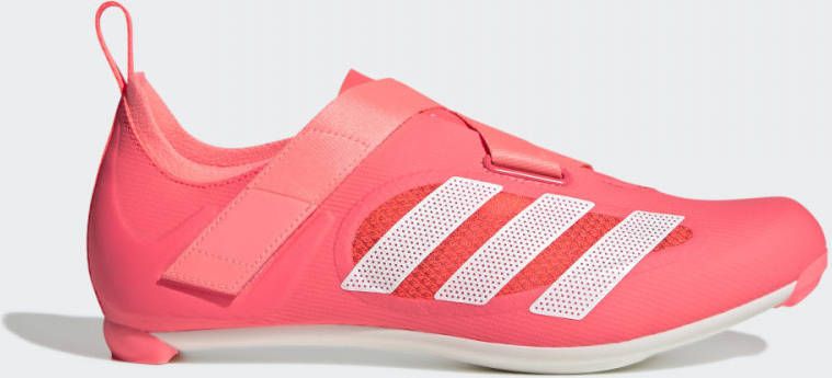 adidas THE INDOOR WIELRENSCHOEN