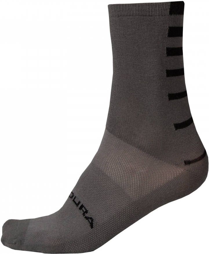 Endura Fietssokken Coolmax Stripe(twee paar)fietssokken, voor heren, XL