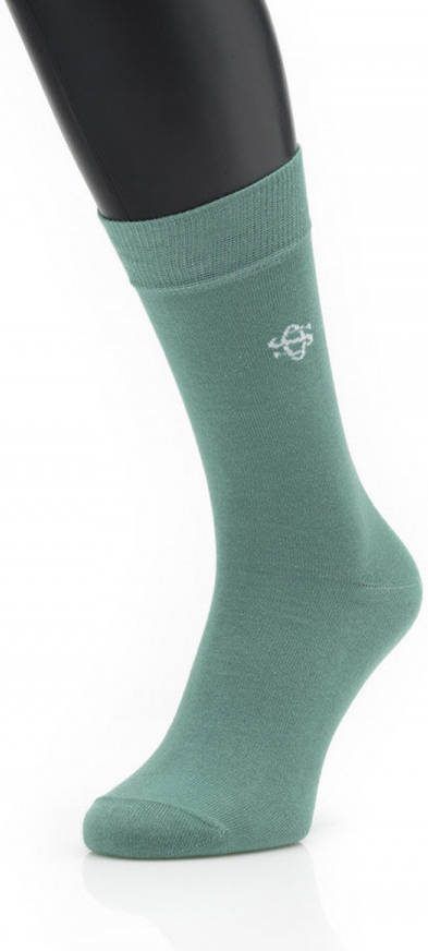 Owen Smith Heren Sokken Mint 39-42 (2 paar)