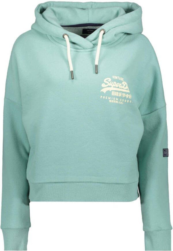 Superdry Truien Vintage Vl Narrative Hood Blauw